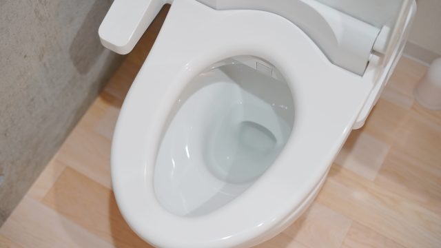 トイレ用バクチャー